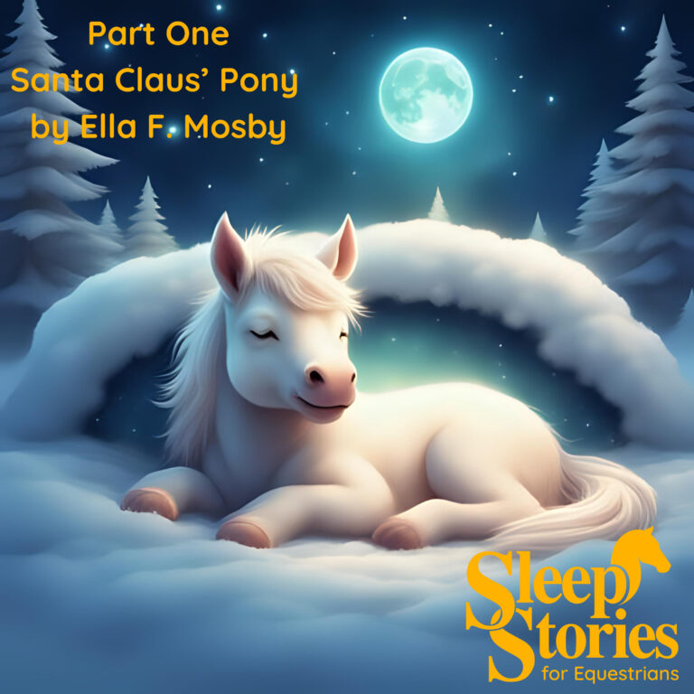 Pt. 1 Santa Claus’ Pony by Ella F