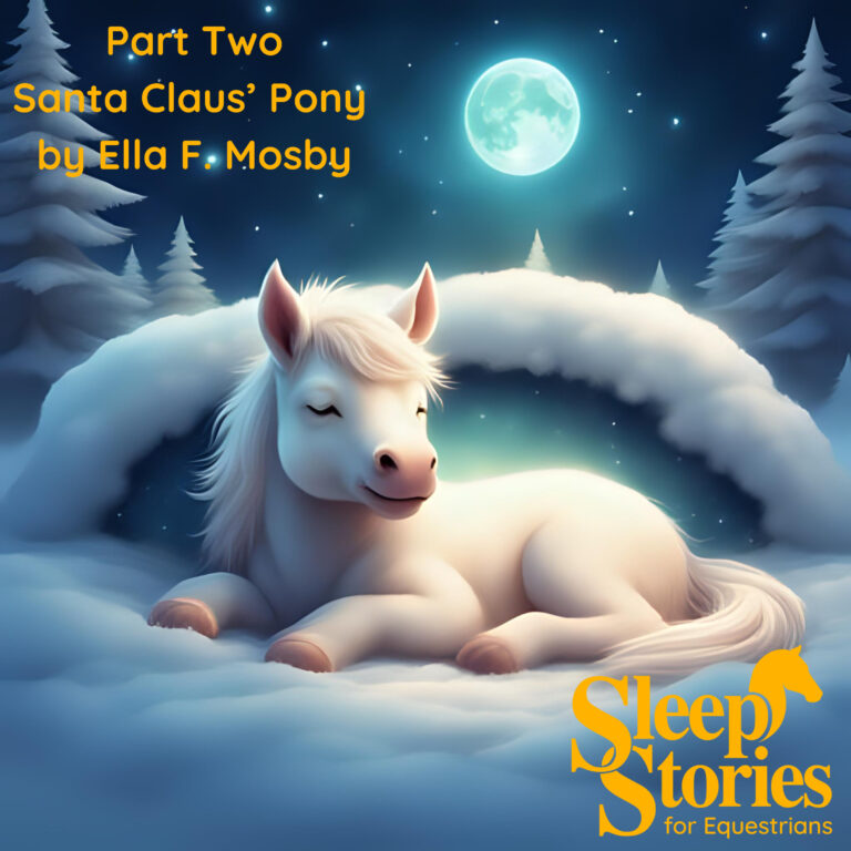 Pt 2 Santa Claus’ Pony by Ella F
