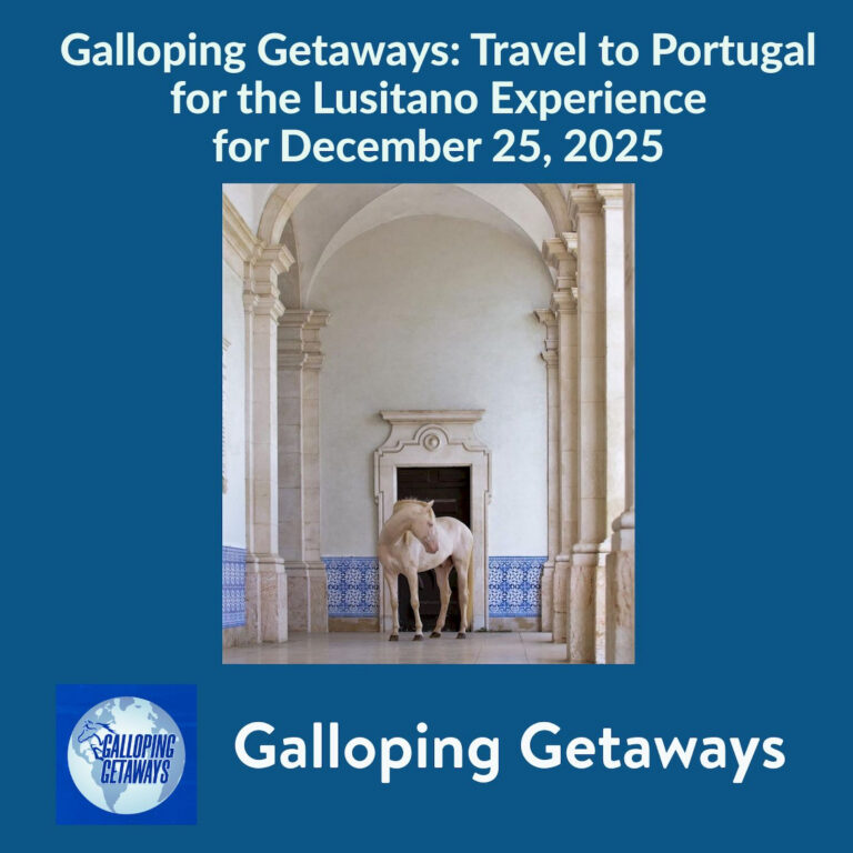 Travel to Portugal for the Lusitano Experience