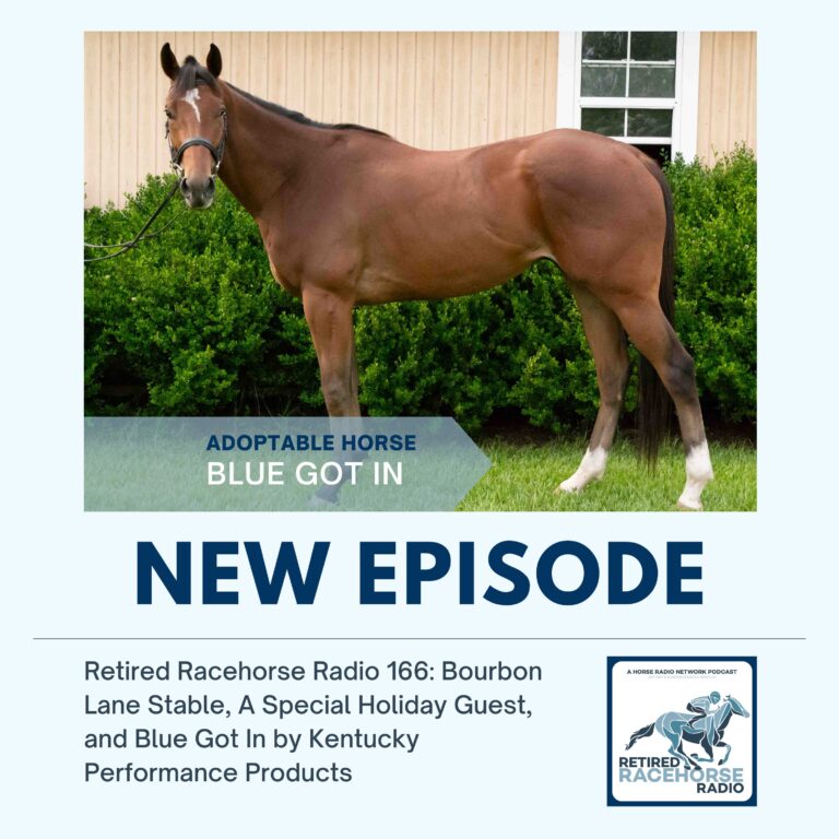 Bourbon Lane Stable, A Special Holiday Guest, and Blue Got In by Kentucky Performance Products