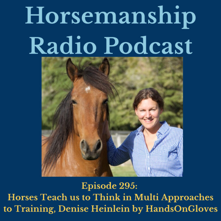 295: Horses Teach us to Think in Multi Approaches to Training, Denise Heinlein by HandsOnGloves