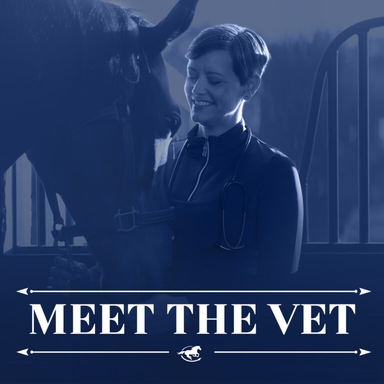 Meet the Veterinarian