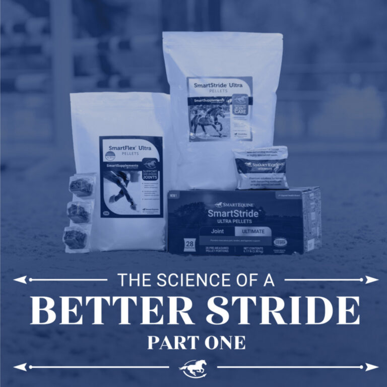 The Science of a Better Stride (Part 1)