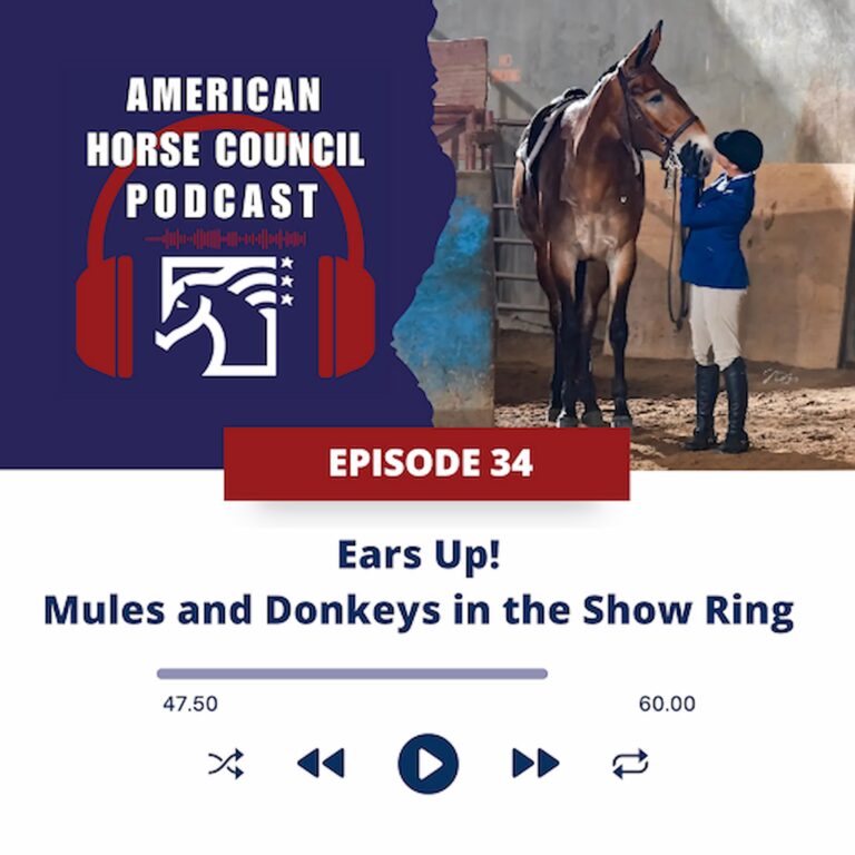 Ears up! Mules & Donkeys in the Show Ring, for February 3, 2026