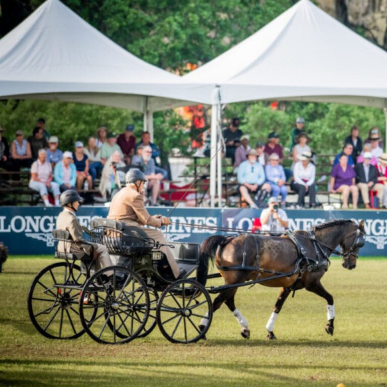 Horse Show Vacation, Ocala Edition