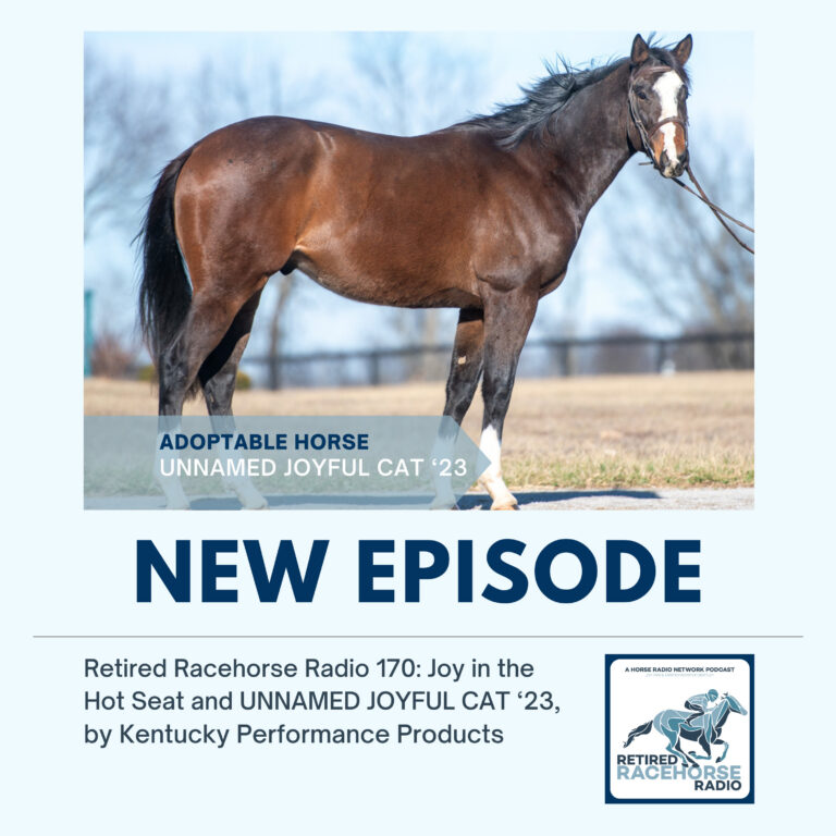 Get to Know Joy and UNNAMED JOYFUL CAT ’23 by Kentucky Performance Products