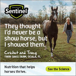 9280-03_KNG_Sentinel_BrandCampaign_Static_250x250
