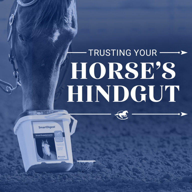 Trusting Your Horse’s Hindgut