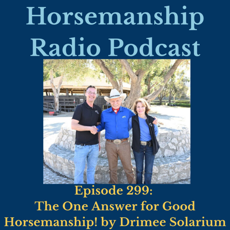 299: The One Answer for Good Horsemanship! by Drimee Solarium