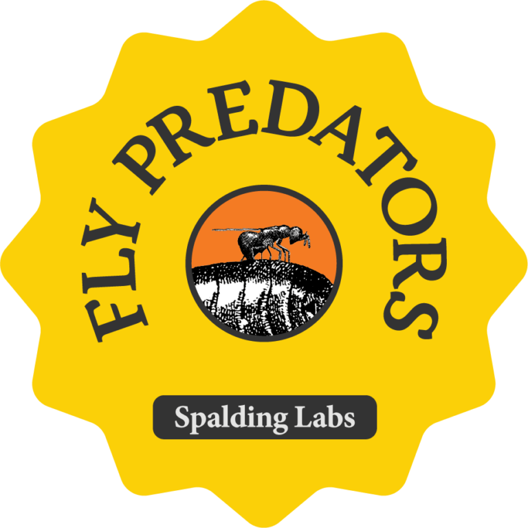 fplogo_yellow_simple