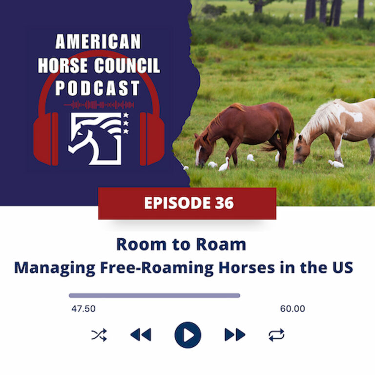 Room to Roam – Managing Free-Roaming Horses Across the US
