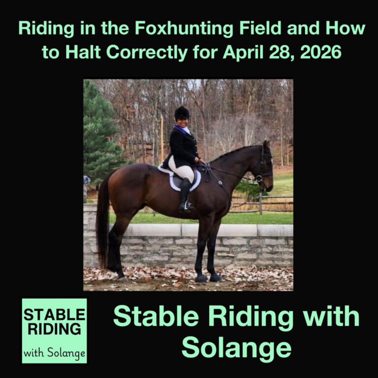 Riding in the Foxhunting Field and How to Halt Correctly