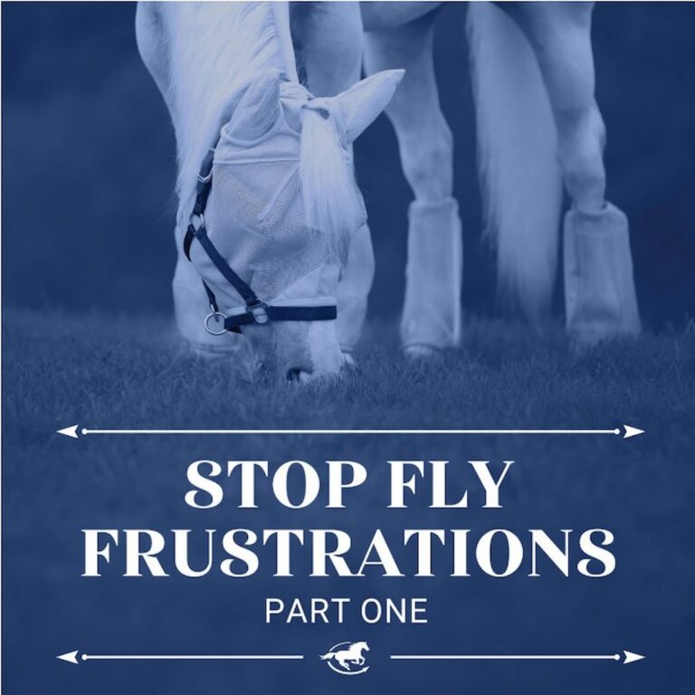 Stop the Fly Frustrations (Part 1)