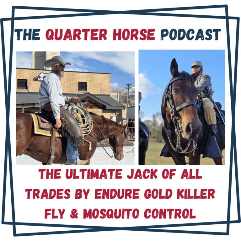 The Ultimate Jack of All Trades