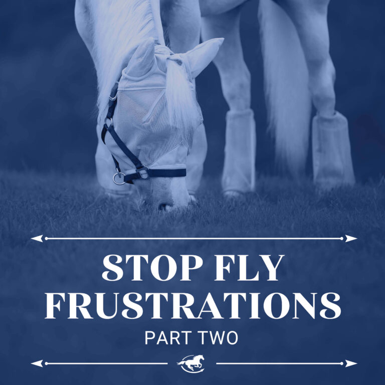 Stop the Fly Frustrations (Part 2)