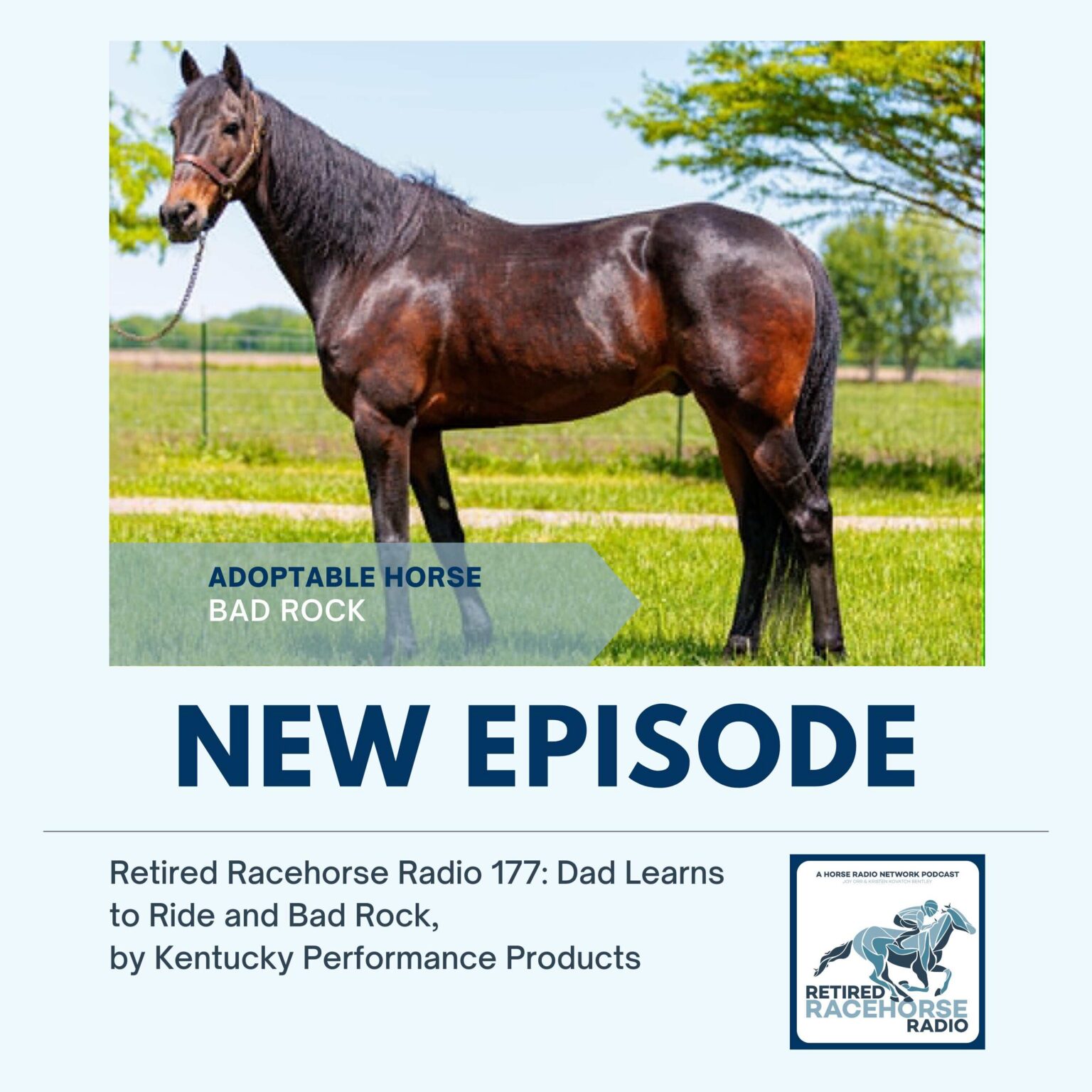 Dad Learns to Ride and Bad Rock by Kentucky Performance Products ...