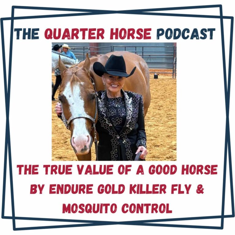 The True Value of a Good Horse by Endure Gold Killer Fly & Mosquito Control