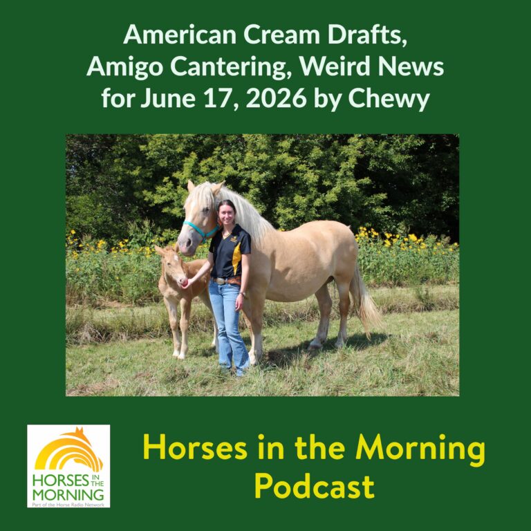 American Cream Drafts, Amigo Cantering, Weird News for June 17, 2026 by Chewy