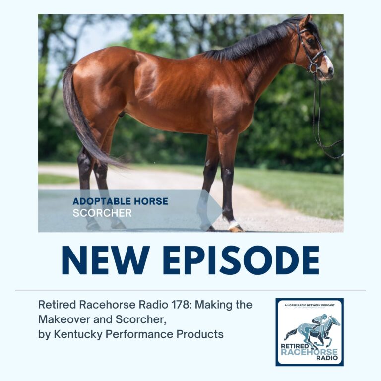 Making the Makeover Update and Scorcher by Kentucky Performance Products
