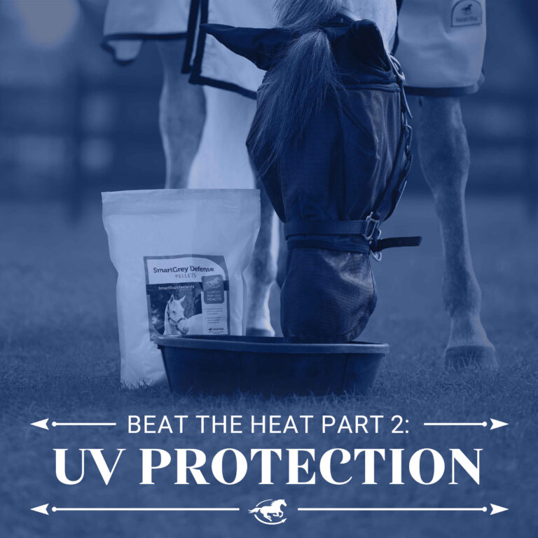 Beat the Heat Part 2 – UV Protection