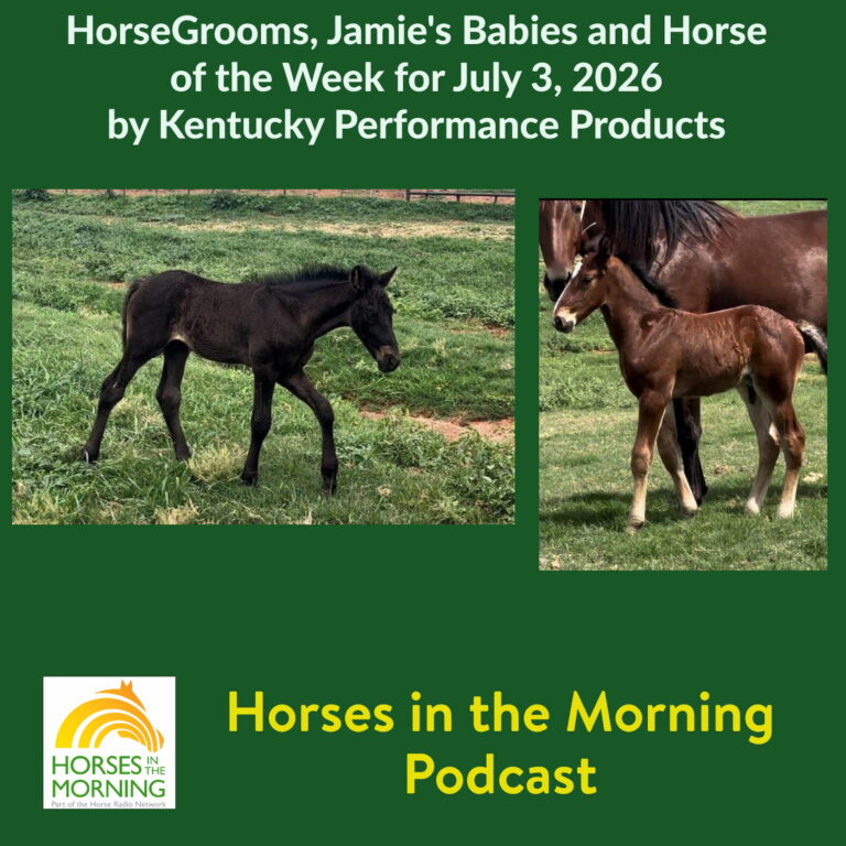 HorseGrooms, Jamie’s Babies and Horse of the Week for July 3, 2026 by Kentucky Performance Products