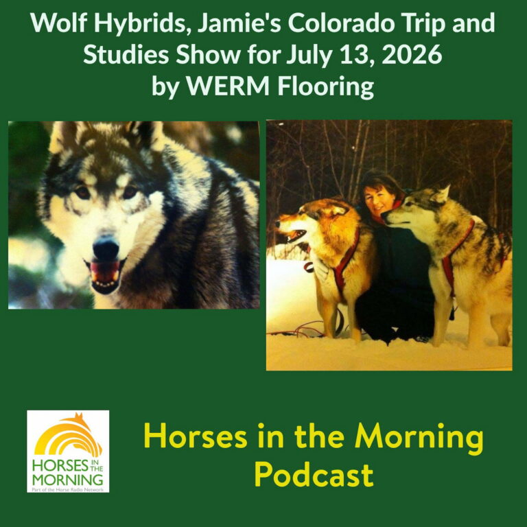 Wolf Hybrids, Jamie’s Colorado Trip and Studies Show for July 13, 2026 by WERM Flooring
