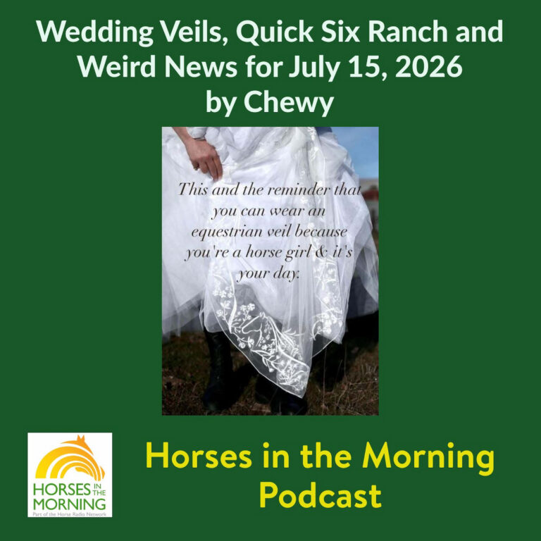 Wedding Veils, Quick Six Ranch and Weird News for July 15, 2026 by Chewy