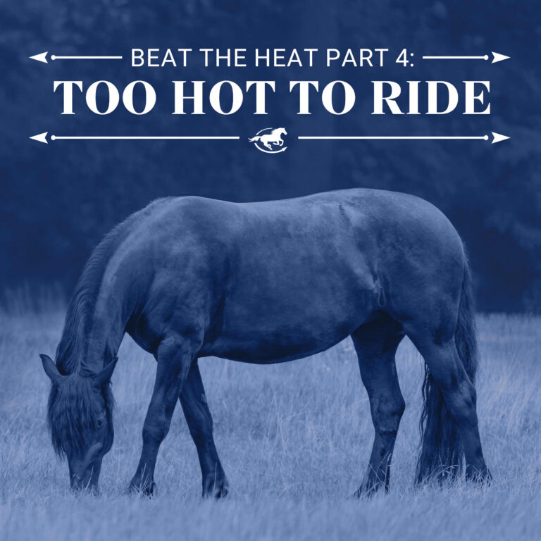 Beat the Heat Part 4 – When Is It Too Hot To Ride