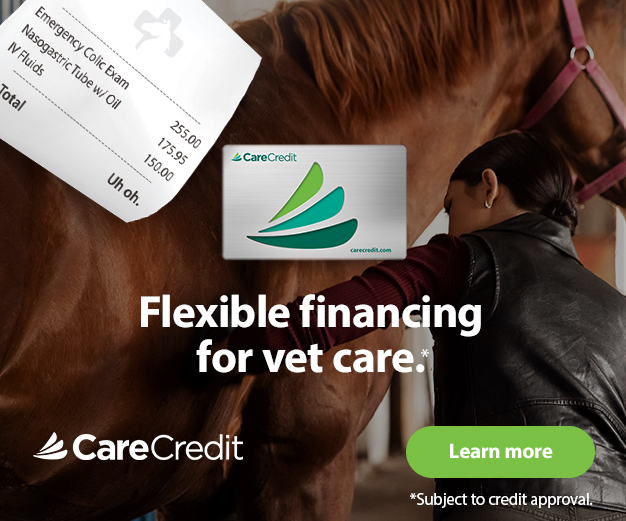 300x250_C1_FlexibleFinancing