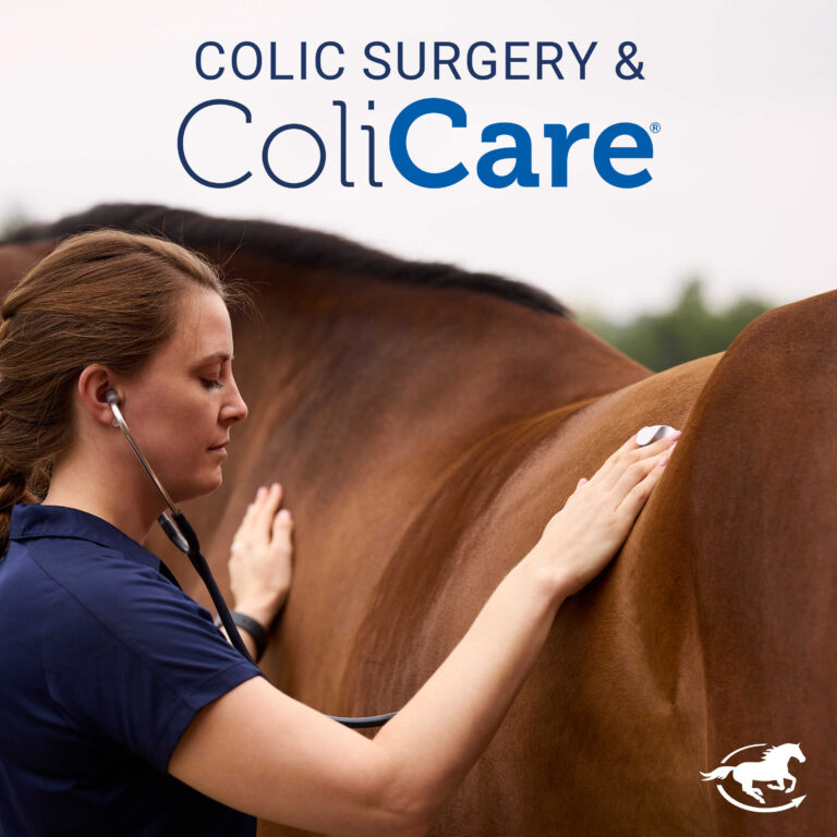 Colic Surgery & ColiCare