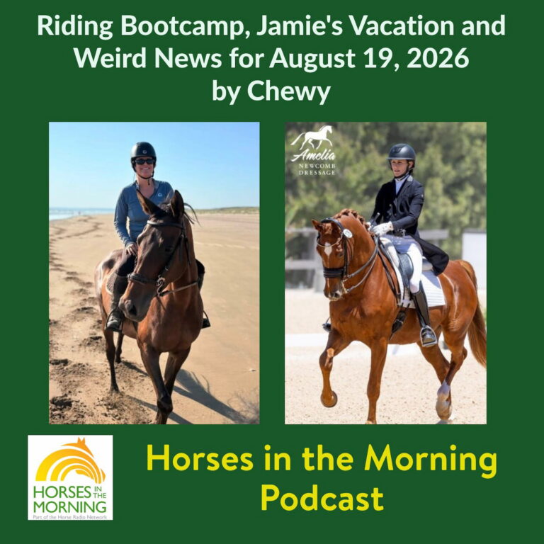 Riding Bootcamp, Jamie’s Vacation and Weird News for August 19, 2026 by Chewy