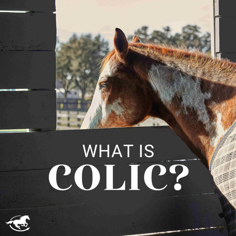 What is Colic?