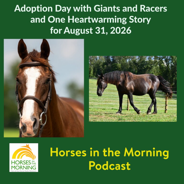 Adoption Day with Giants and Racers, One Heartwarming Story for August 31, 2026