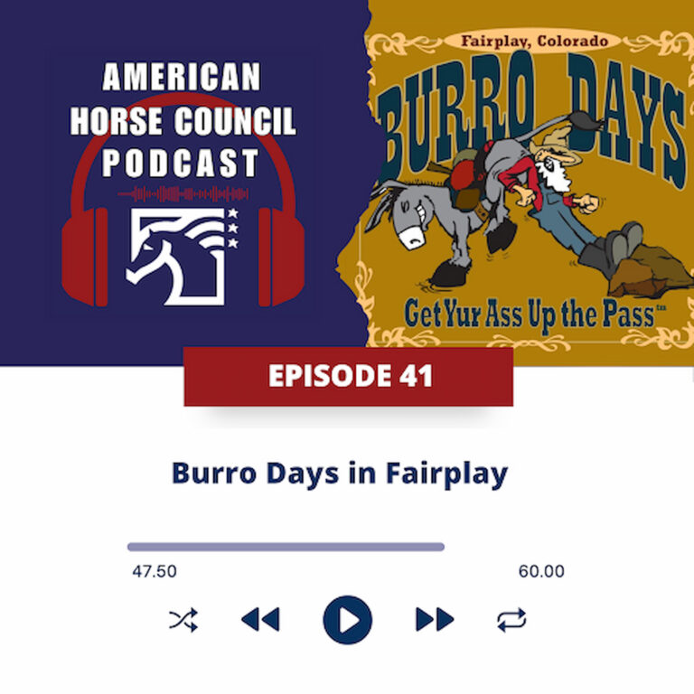 Burro Festival and Race