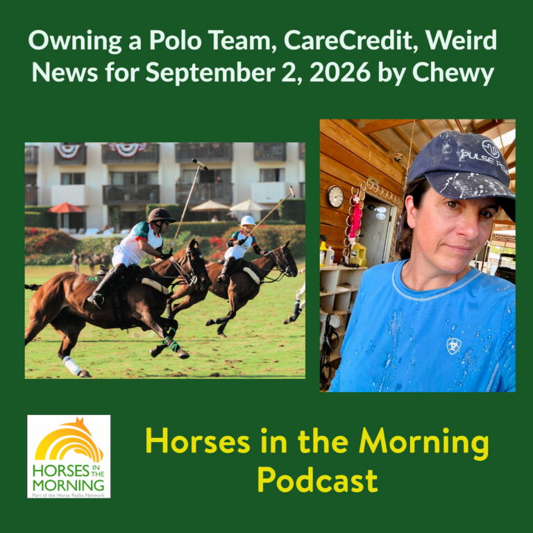 Owning a Polo Team, CareCredit, Weird News for September 2, 2026 by Chewy