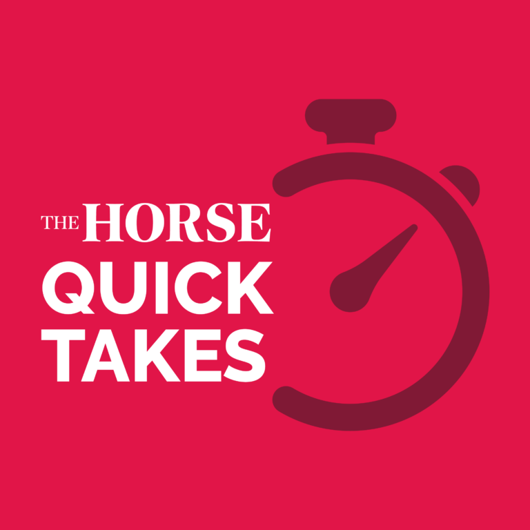 The Horse Quick Takes – Signs of Hindgut Problems in Horses
