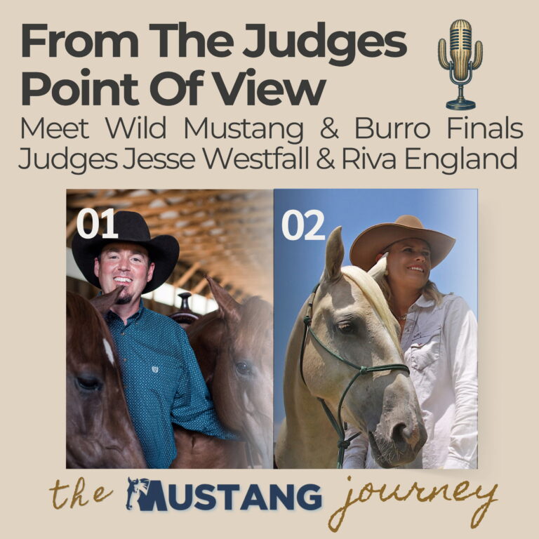 From the Judges Point of View by Mustang Heritage Foundation