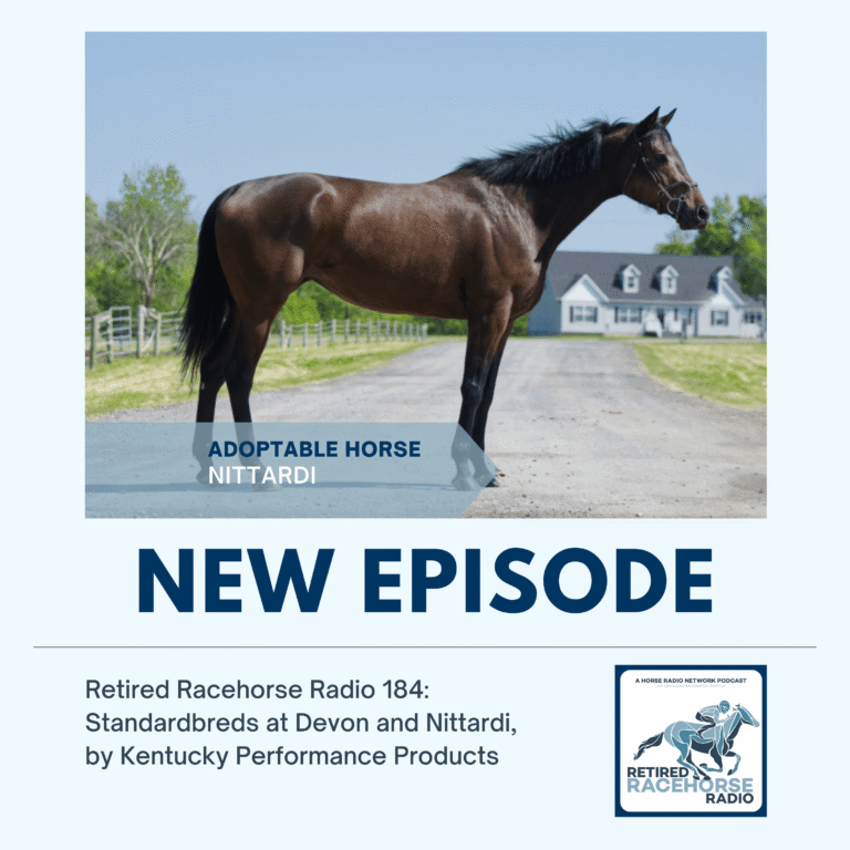 Standardbreds at Devon and Nittardi by Kentucky Performance Products