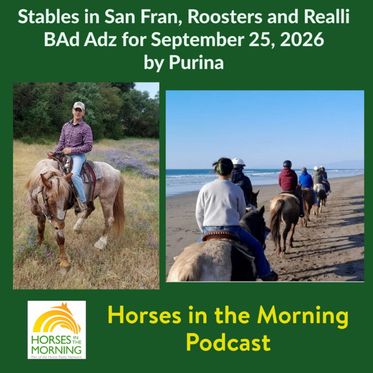 Stables in San Fran, Roosters and Realli BAd Adz for September 25, 2026 by Purina