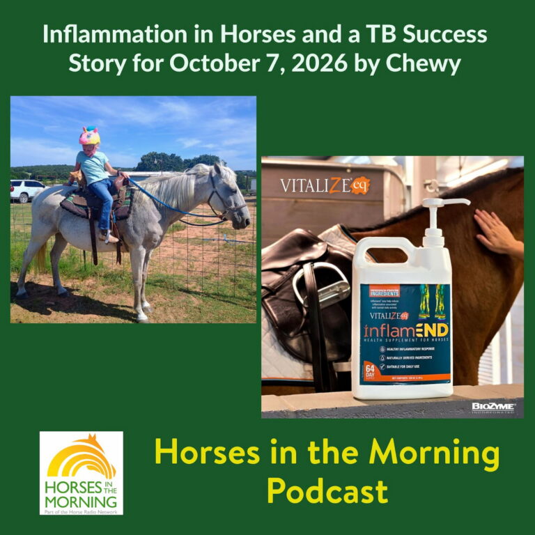 Inflammation in Horses and a TB Success Story for October 7, 2026 by Chewy