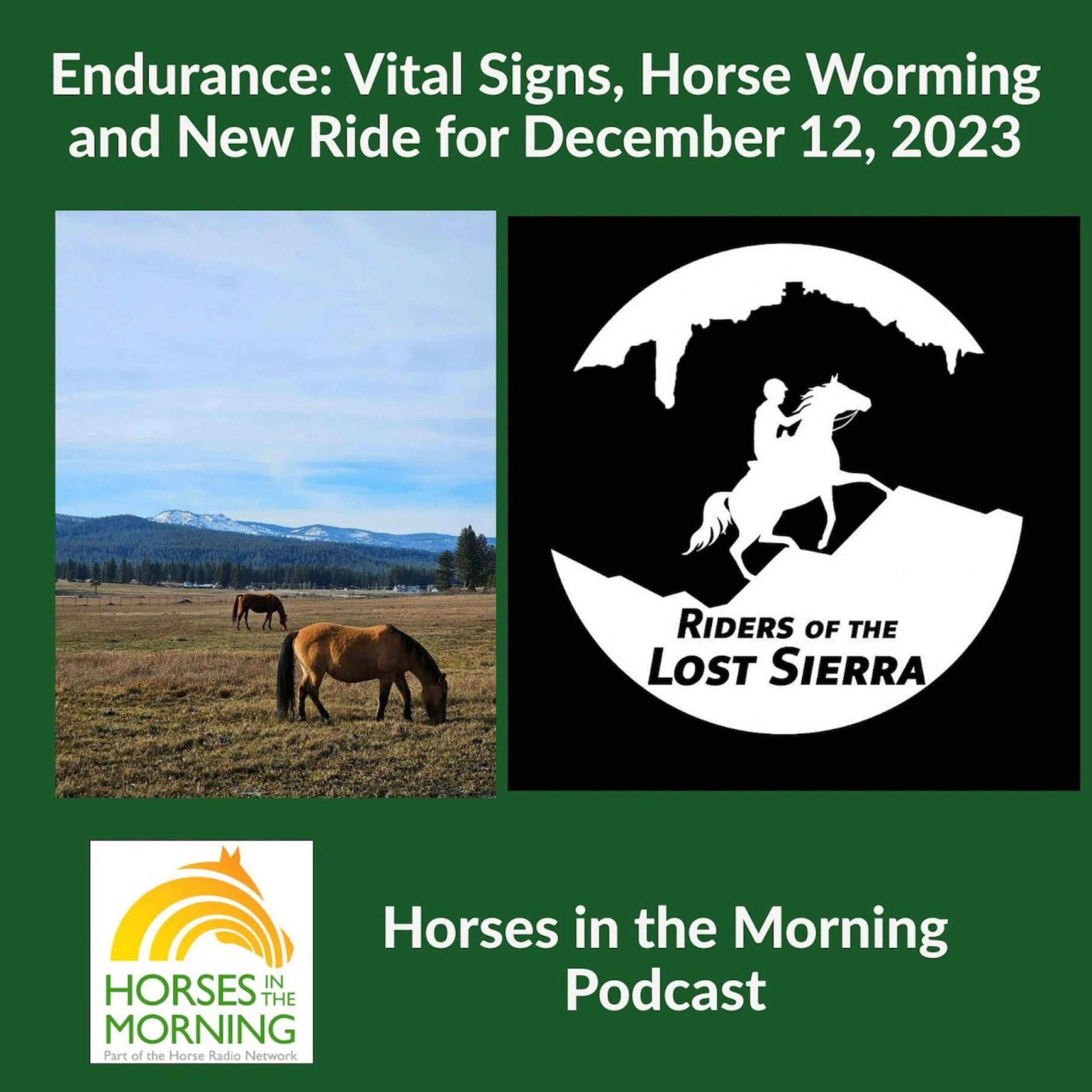Endurance Vital Signs, Horse Worming and New Ride for December 12