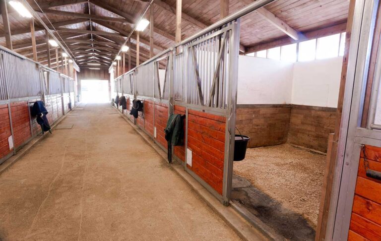 A clean horse stall and barn aisle