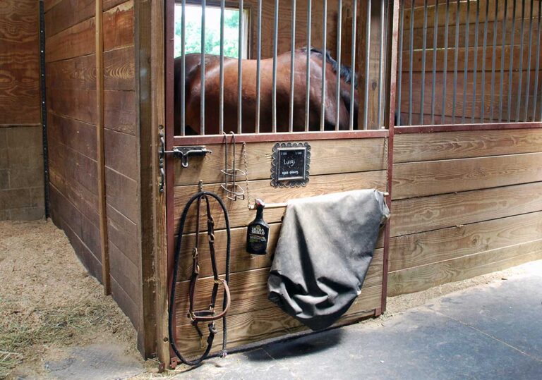 The front of a horse's stall with his name plate, halter, fly spray and sheet.