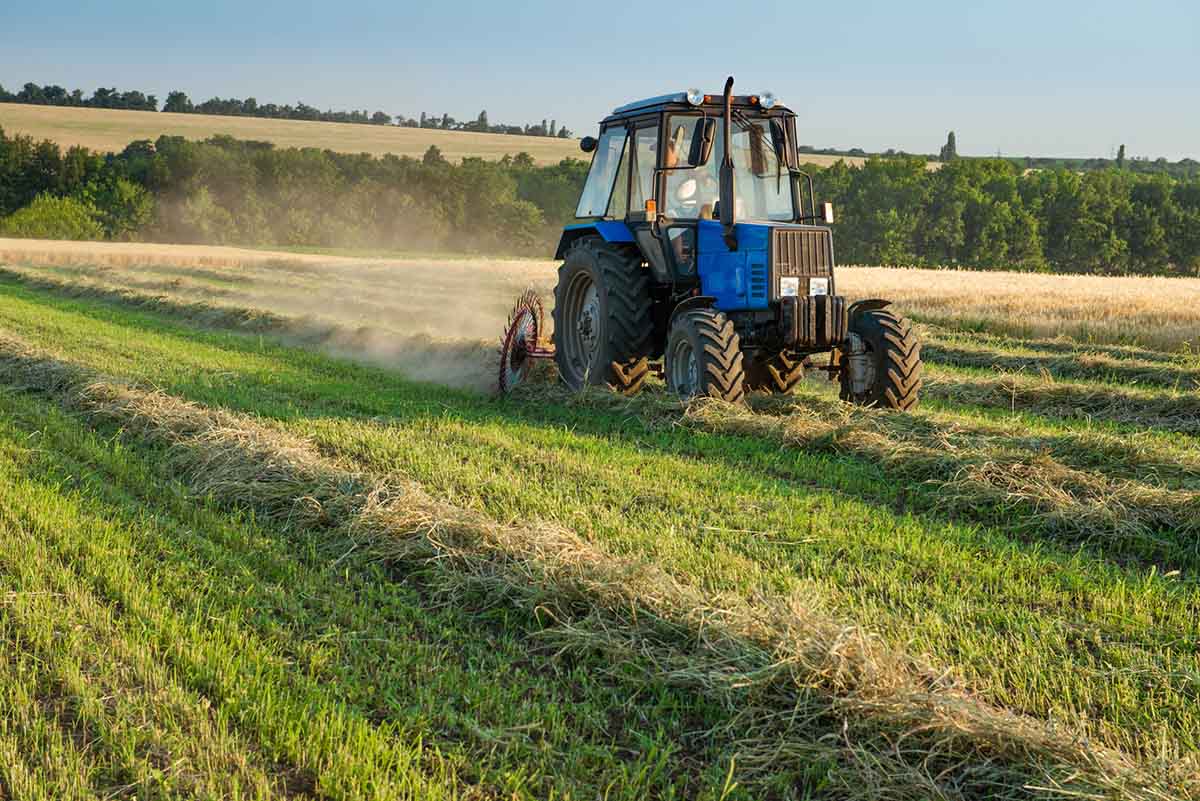 A farmer cutting hay in the field
