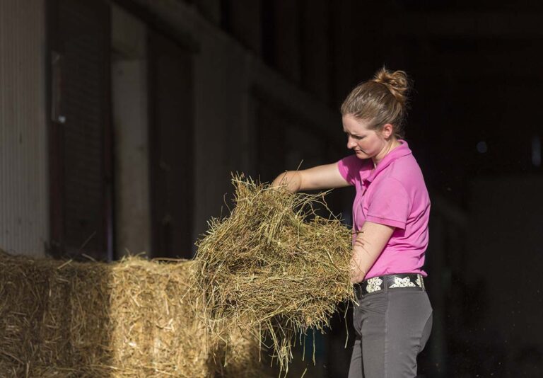 woman inspecting a flake of horse hay