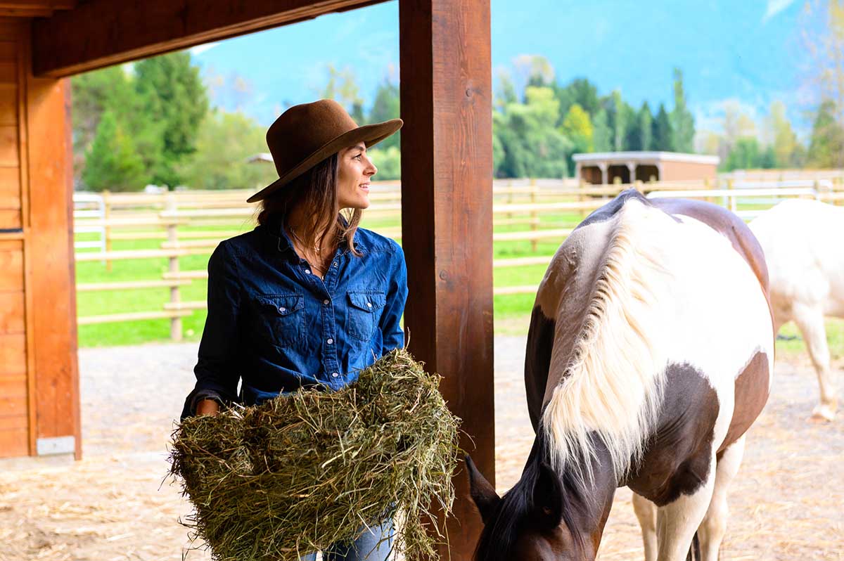 A woman holds a flake of hay for her paint horse