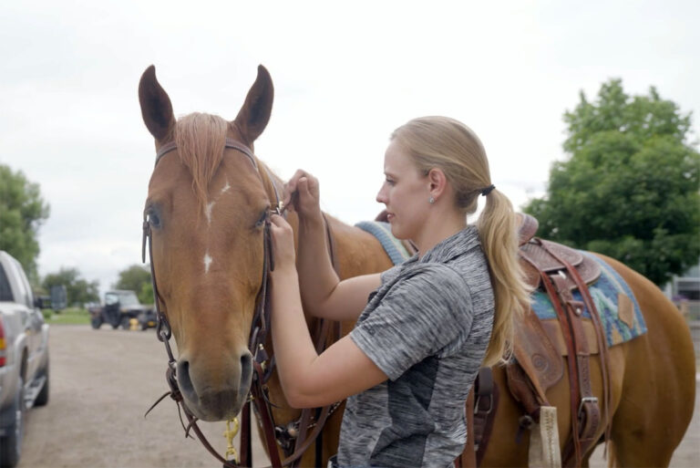 How To Put on a Western Bridle My New Horse