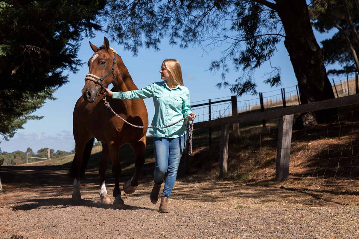 Smart Strategies for Handling Anxious Horses My New Horse