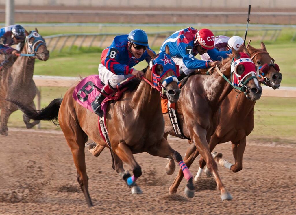 three chestnut quarter horse racehorses sprint down the stretch