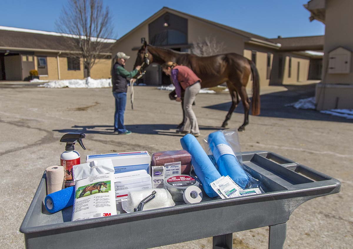 Be Prepared Assembling a Basic Equine FirstAid Kit My New Horse